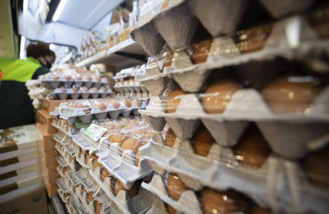 1일 한국농수산식품유통공사에 따르면 달걀의 소매가격이 코로나19가 본격화한 2월부터 두 달째 가격이 상승하며 2017년 8월 이후 3년 만에 최고 수준을 기록했다. 사진은 이날 오전 서울의 한 대형마트에 진열된 계란의 모습. 연합뉴스 제공