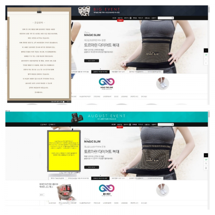 모델 구인 유인을 위해 유사 사이트까지 등장했다. 아래는 홀더라인의 유사 사이트 (사진= 홀더라인 제공)