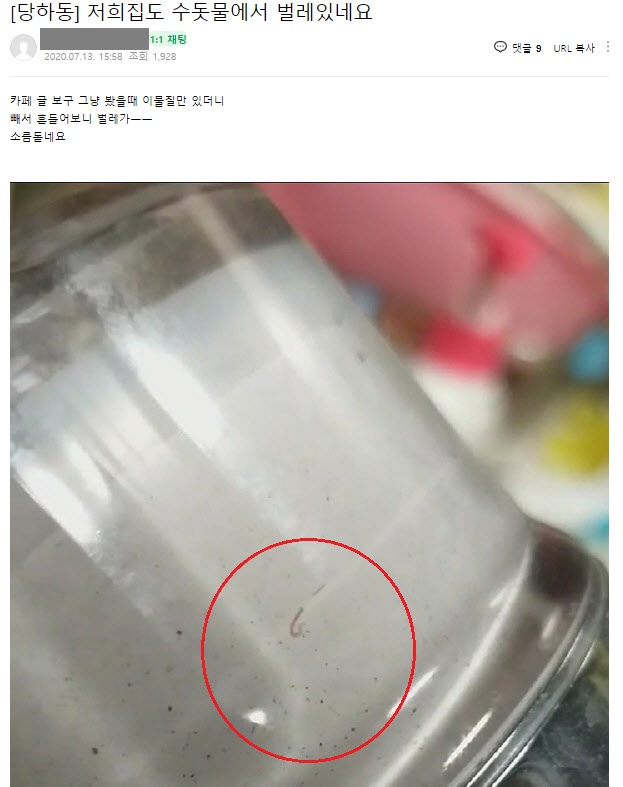 인천 서구 당하동 거주 주민이 검암맘 카페에 게재한 수돗물 필터 안 유충 사진. (사진=인천 검암맘 네이버 카페 게시물 캡처)
