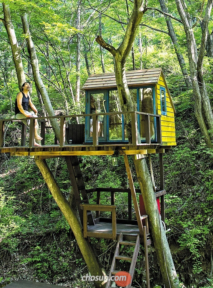 야생동물 다큐멘터리 전문 최기순 감독은 자신이 살던 러시아 타이가 숲 속 트리 하우스를 강원도 홍천 생태체험장 ‘까르돈’에 그대로 재현해 만들었다. /이신영 영상미디어기자