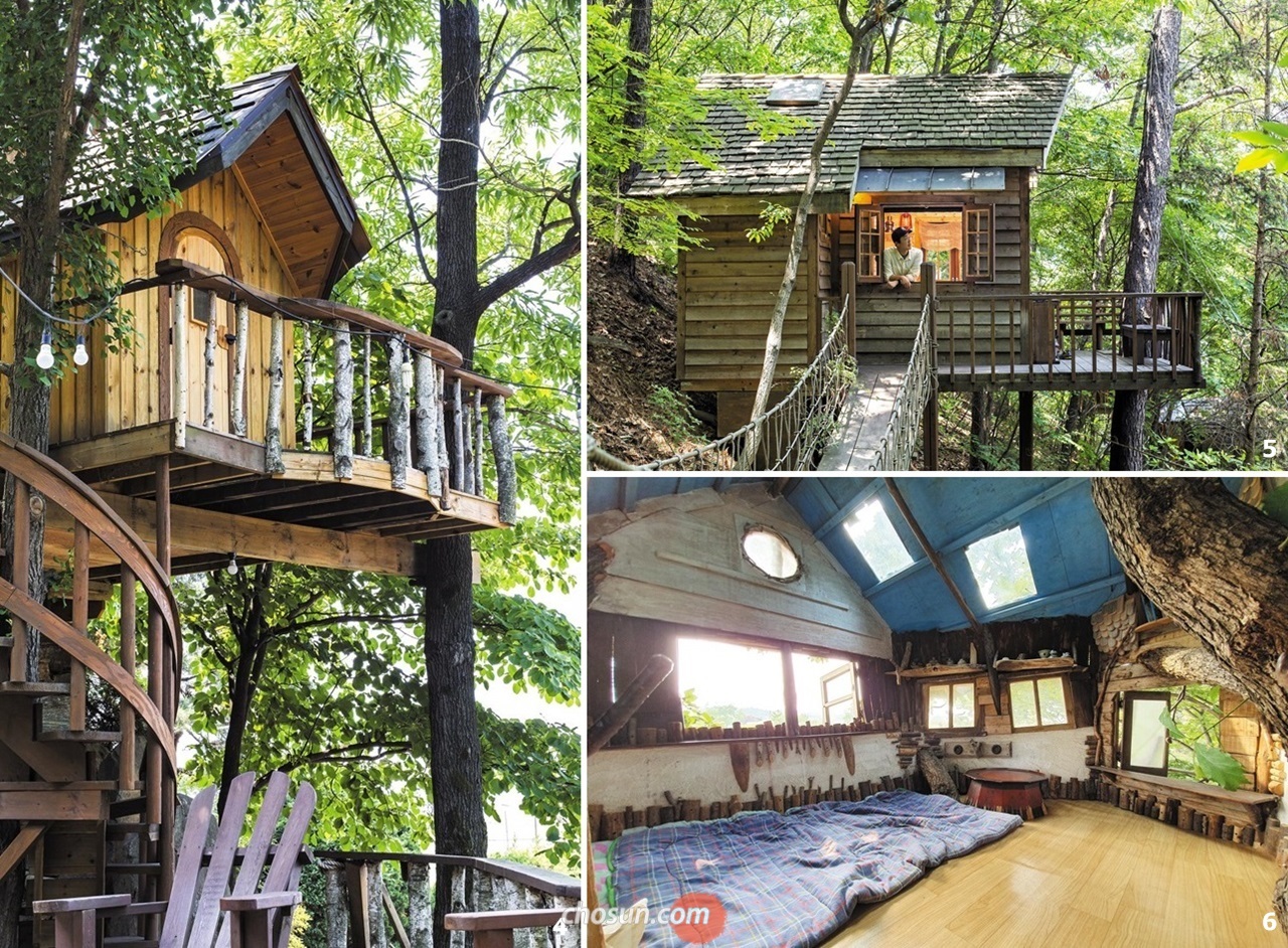 4 평택 ‘트리하우스’의 ‘은행나무 트리 하우스’. 5 출렁다리가 있는 경기도 평택 ‘트리하우스’의 ‘허클베리 핀의 트리 하우스’. 6 전북 김제 ‘미즈노씨네트리하우스’의 내부. /이신영 영상미디어 기자