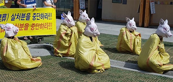 26일 케어와 한국동물보호연합 회원들이 ‘생매장 살처분’에 항의하는 퍼포먼스를 하고 있다. /권오은 기자