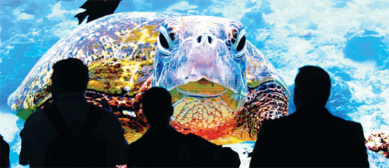 CES 2019 관람객들이 삼성전자의 마이크로LED TV인 2019년형 '더 월'을 살펴보고 있다. /연합뉴스