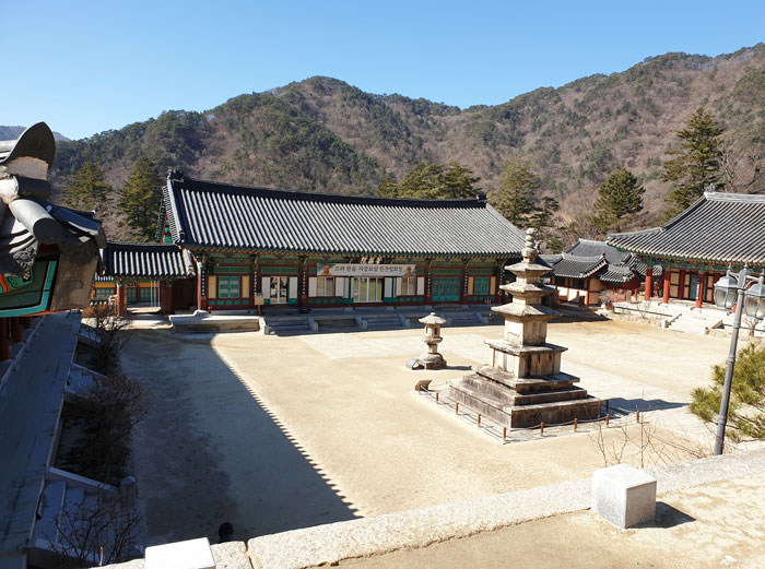 지난주 해인사 대적광전 앞마당 풍경. 연간 150만명이 찾아 항상 신도와 관광객으로 넘치던 해인사가 지난 21일 산문 폐쇄 이후로는 사람의 흔적이 사라졌다. 해인사 주지 현응 스님은 "사실상 공사(空寺)와 다름없다"고 말했다. /해인사