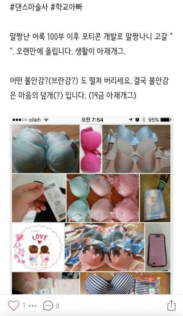 A교사의 블로그 내용이라며 인터넷 커뮤니티에 등장한 내용./ 네티즌 캡처