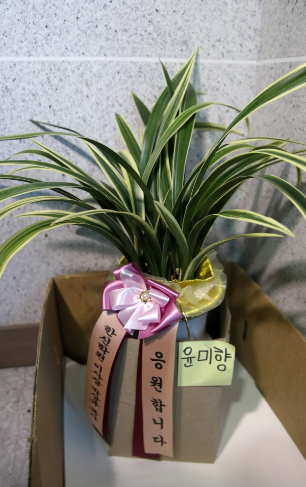 1일 오전 서울 여의도 국회의사당 윤미향 의원실 앞에 축하 화분이 놓여있다./뉴시스