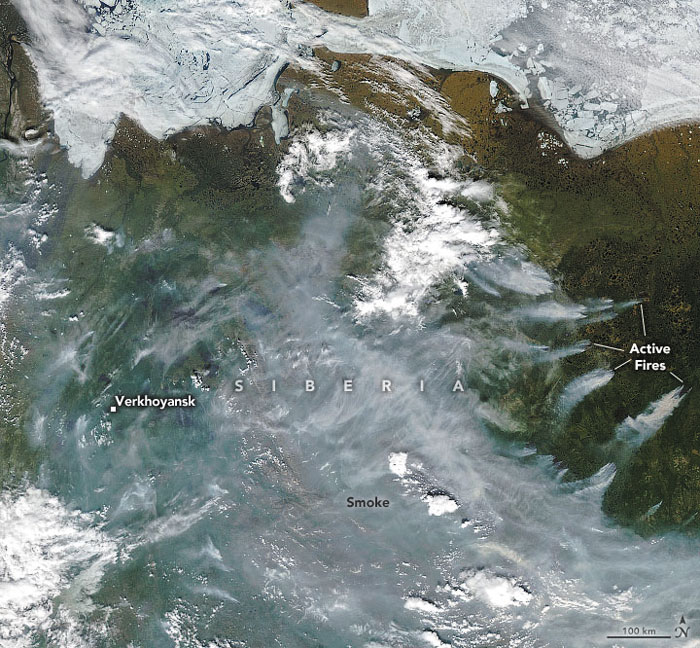 NASA가 위성으로 촬영한 시베리아 지역의 모습. 뿌옇게 보이는 것이 산불로 인한 연기다. /미항공우주국(NASA) 홈페이지 캡처