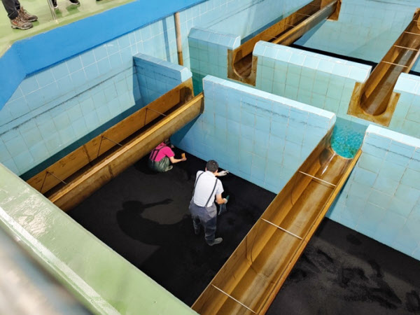 17일 청주시상수도사업본부와 환경부 직원들이 정수장내 유충 서식 여부를 조사하고 있다./청주시