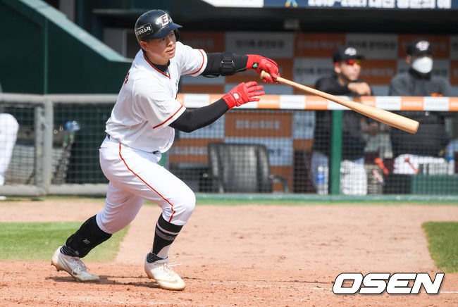 [OSEN=대전,박준형 기자] 노시환이 타격을 하고 있다. /  soul1014@osen.co.kr