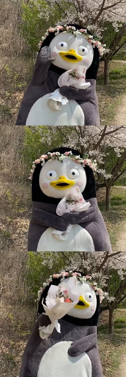 자이언트 펭TV 인스타그램