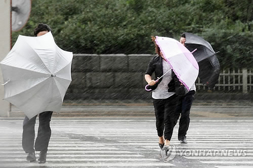 연합뉴스