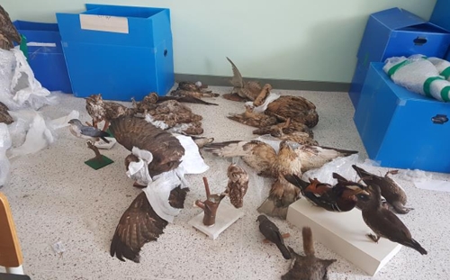 문성학원이 관리하던 자연사 표본[인천시 제공]