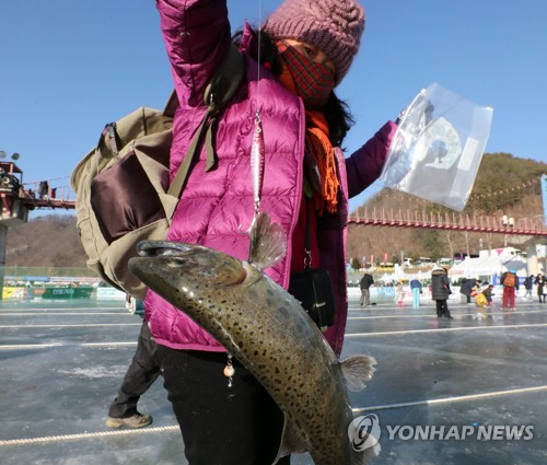 '산천어와 한판승'2019 화천산천어축제 찾은 외국인 관광객[연합뉴스 자료사진]