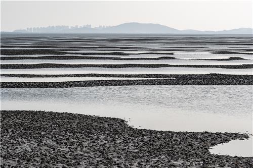 강화 갯벌 [국립민속박물관 제공]