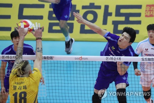 대한항공 레프트 정지석[연합뉴스 자료사진]