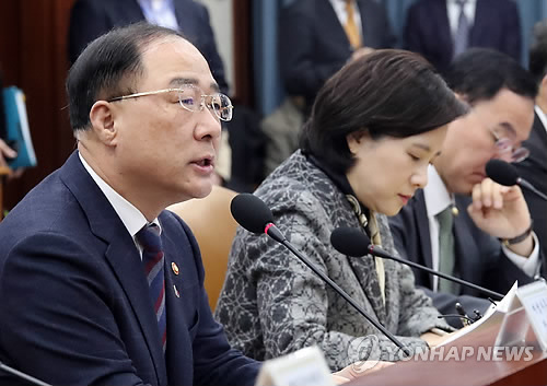 제8차 경제활력대책회의(서울=연합뉴스) 김승두 기자 = 홍남기 부총리 겸 기획재정부 장관이 13일 정부서울청사에서 열린 제8차 경제활력대책회의에서 발언하고 있다. 2019.2.13 kimsdoo@yna.co.kr