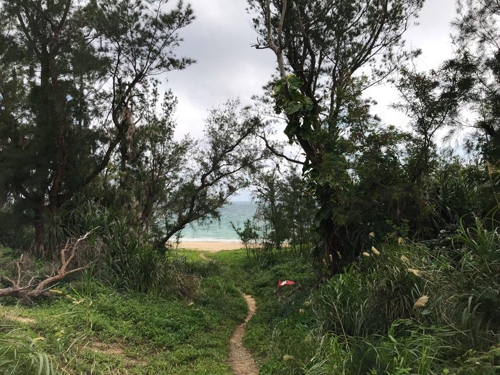 일본 오키나의 기노자손(宜野座村)의 미군의 옛 민간인 포로수용소 주변 유골 발굴 현장 바로 앞에 펼쳐진 바다[연합뉴스 자료사진]