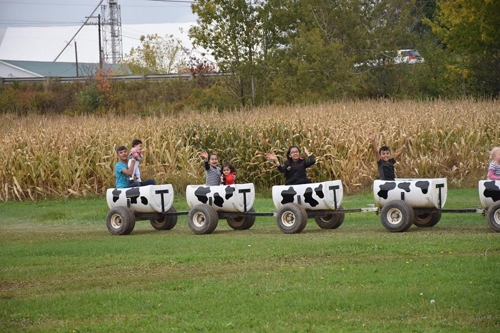 희생된 어린이들이 캐나다 입국 직후 즐거워하던 한때의 모습[난민 지원 시민단체 페이스북 캡처]
