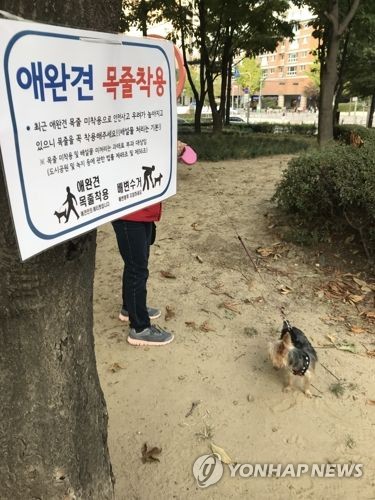 반려견 목줄[연합뉴스 자료사진]