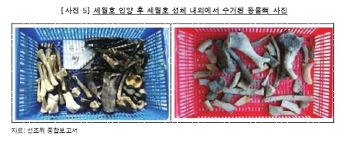 세월호 인양후 선체 내외에서 수거된 동물뼈[감사원 제공]