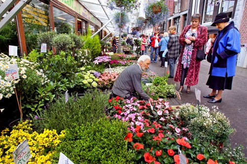 화초를 사는 현지인들 [사진/조보희 기자]