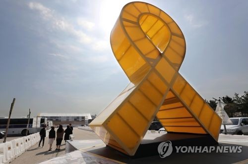 세월호 참사를 추모하는 노란 리본[찰영 권준우]