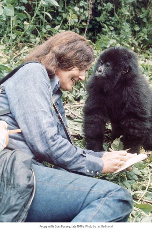 1970년대 후반 다이앤 포시와 포피[다이앤 포시 고릴라기금 인터내셔널 웹사이트 캡처]