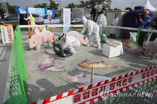 아프리카돼지열병 방역 철저히[연합뉴스 자료사진]