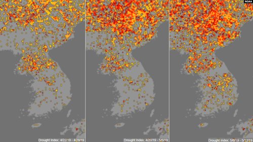 북한 '가뭄지수' 분포도(서울=연합뉴스) 미국 국립해양대기국(NOAA) 기상위성의 사진을 토대로 분석한 '가뭄지수'를 표시한 지도. 
    노란색에서 붉은색으로 변할수록 가뭄의 정도가 심각함을 의미한다. 사진은 올해 4월 마지막주(왼쪽 지도)부터 5월 첫째주(가운데), 5월 둘째주(오른쪽)의 변화. 2019.5.18 [VOA 제공] photo@yna.co.kr