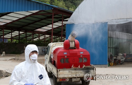 양돈 농가에 소독약 뿌리는 방역차(양구=연합뉴스) 양지웅 기자 = 31일 오후 강원 접경지역인 양구군의 한 양돈 농가에서 방역 차량이 아프리카돼지열병(ASF) 차단을 위해 소독약품을 뿌리고 있다. 최근 북한에서 ASF 발생이 공식 확인됨에 따라 정부는 이날 접경 10개 시·군을 특별관리지역으로 지정했다. 2019.5.31 yangdoo@yna.co.kr