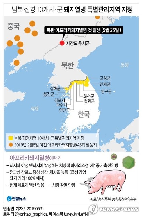 [그래픽] 남북 접경 10개 시·군 돼지열병 특별관리지역 지정(서울=연합뉴스) 반종빈 기자 = 북한 압록강 인접 지역에서 '치사율 100%' 가축전염병인 아프리카돼지열병(ASF)이 발생한 것으로 확인되면서 정부는 31일 국내 유입차단을 위해 남북 접경지역을 '특별관리지역'으로 지정했다. bjbin@yna.co.kr