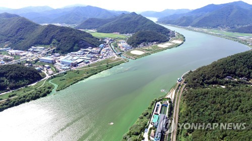 낙동강 물금취수장 일대 녹조[연합뉴스 자료사진]