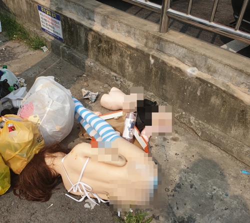 버려진 리얼돌[트위터 캡처]