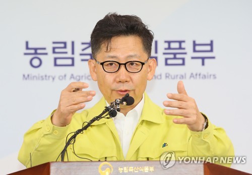 파주 아프리카돼지열병 브리핑하는 김현수 장관(세종=연합뉴스) 진성철 기자 = 김현수 농림축산식품부 장관이 17일 세종시 정부세종청사 농림축산식품부에서 국내 처음으로 파주에서 발생한 아프리카돼지열병에 관해 브리핑하고 있다. zjin@yna.co.kr