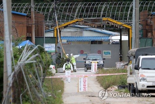 파주 농장 2곳서 아프리카돼지열병 의심 신고(파주=연합뉴스) 김병만 기자 = 아프리카돼지열병(ASF)이 국내 처음 발생했던 경기도 파주의 또 다른 2개 농장에서 ASF 의심 신고가 접수돼 방역 당국에 초비상이 걸렸다. 20일 파주 파평면 양돈농장 입구에서 경찰과 방역 관계자들이 분주하게 움직이고 있다.
2019.9.20 kimb01@yna.co.kr