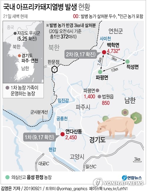 [그래픽] 국내 아프리카돼지열병 발생 현황