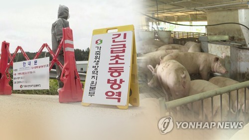 아프리카돼지열병 축산농가 긴급초동방역 (CG)[연합뉴스TV 제공]