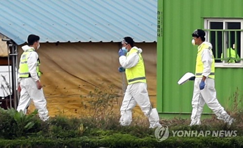 살처분 작업 준비하는 방역당국 관계자들(인천=연합뉴스) 윤태현 기자 = 인천 강화지역에 아프리카돼지열병(ASF)이 확산해 방역당국에 비상이 걸린 27일 오전 국내 9번째로 ASF가 확진된 인천시 강화군 하점면 한 양돈농장 인근에서 방역당국 관계자들이 살처분 작업을 준비하고 있다. 2019.9.27 tomatoyoon@yna.co.kr