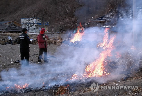 쓰레기 소각 단속[연합뉴스 자료 사진]