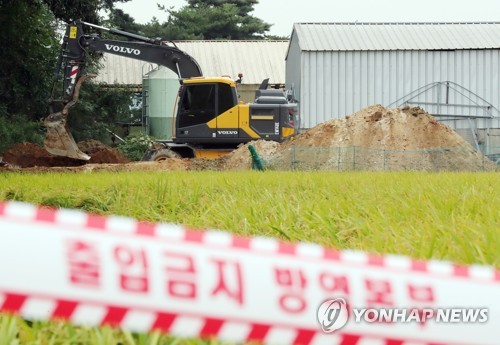 살처분 작업 진행되는 강화 양돈농장(인천=연합뉴스) 윤태현 기자 = 인천 강화지역에 아프리카돼지열병(ASF)이 확산해 방역당국에 비상이 걸린 27일 오후 국내 8번째로 ASF가 확진된 인천시 강화군 강화읍 한 양돈농장에서 포클레인이 살처분 작업을 위해 땅을 파고 있다. 2019.9.27 tomatoyoon@yna.co.kr