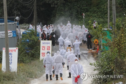 파주에서 국내 10번째 ASF 발생(파주=연합뉴스) 임병식 기자 = 2일 경기도 파주시 파평면의 한 양돈농가에서 아프리카돼지열병(ASF)가 발생해 방역당국이 살처분 작업을 준비하고 있다. 2019.10.2 andphotodo@yna.co.kr