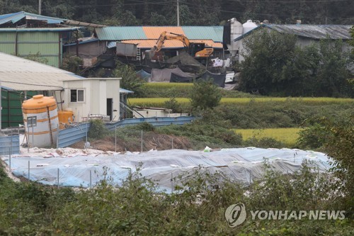 '무덤 옆에 다시 무덤'(파주=연합뉴스) 임병식 기자 = 2일 경기도 파주시 파평면의 한 양돈농가에서 국내 10번째로 아프리카돼지열병(ASF)이 발생해 방역당국이 살처분 작업을 위한 구덩이를 파고 있다. 아래쪽 비닐 덮인 구덩이는 앞서 지난달 17일 최초로 ASF가 발생해 예방적 살처분으로 인근 양돈농가에 만들어진 매몰지다. 2019.10.2 andphotodo@yna.co.kr