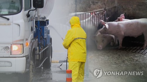 아프리카돼지열병 방역(CG)[연합뉴스TV 제공]