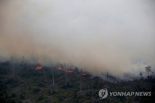 인도네시아 산불 연무[로이터=연합뉴스 자료 사진]