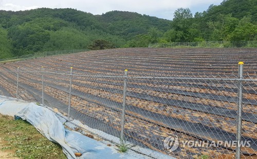 화천군 야생멧돼지 차단시설[화천군 제공.재판매 및 DB 금지]