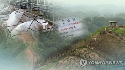 DMZ 멧돼지 사체서 돼지열병 바이러스 검출 (CG)[연합뉴스TV 제공]