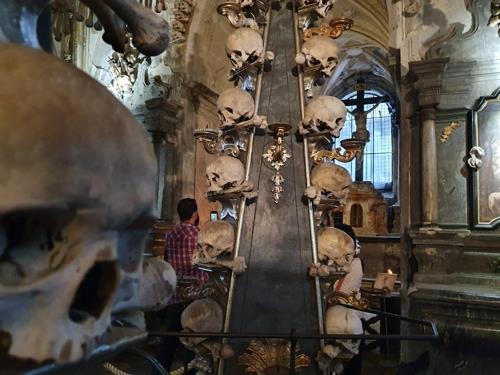 세들레츠 해골 성당
(쿠트나호라<체코>=연합뉴스) 양정우 기자 = 체코 중부의 세들레츠 해골 성당 내부. 해골과 사람 뼈로 장식돼 있다. 2019.9.30 eddie@yna.co.kr
