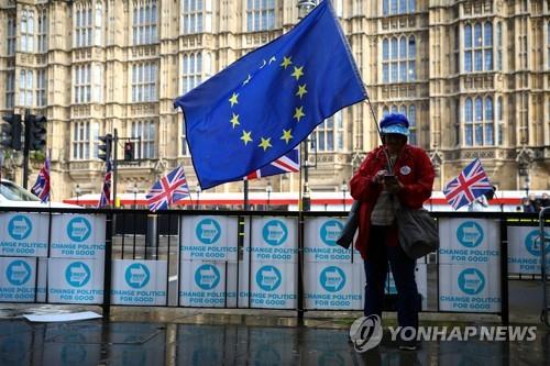 브렉시트 반대 운동가[로이터=연합뉴스 자료사진]