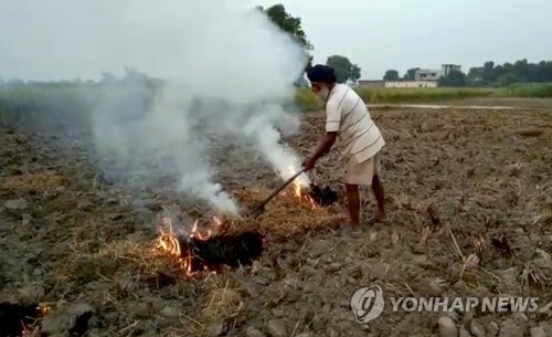 추수 뒤 밭을 태우는 인도 농부[AP=연합뉴스]