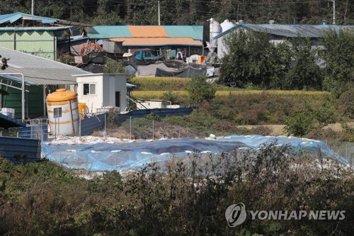 'ASF 한 달' 적막한 농장(파주=연합뉴스) 임병식 기자 = 아프리카돼지열병(ASF)이 발생한 지 1개월을 앞두고 있는 16일 경기도 파주시 ASF 발생 양돈농가에서 살처분 매몰지가 비닐로 덮여 있다. 2019.10.16 andphotodo@yna.co.kr